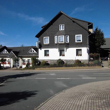Dribischenhof Hotel Usseln Екстериор снимка