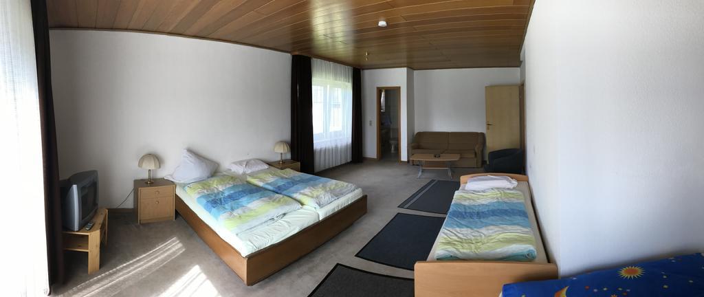 Dribischenhof Hotel Usseln Екстериор снимка